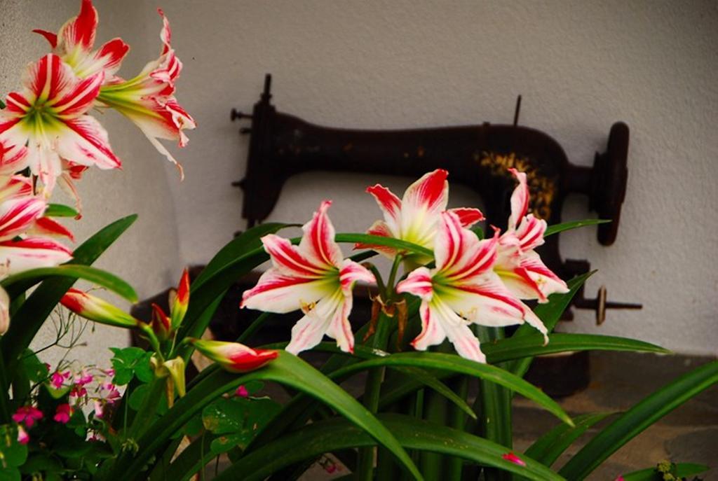 Atzanou Rooms Kamariotissa ภายนอก รูปภาพ